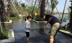 ʮһ